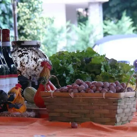 La Bertorella Alloggio per agriturismo Torre Bormida